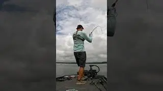 Solid bass smokes the new Mach Skooler!!! #shorts