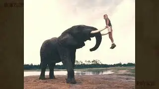 あなたの心を揺さぶる衝撃的な歴史写真 90 枚。
