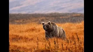 World's 2nd Highest Plateau | Deo-Sai