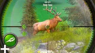 Hunting clash : sniper shooting android class gameplay 