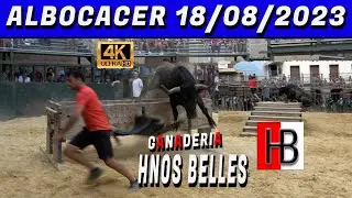 👀👉👌ALBOCACER 2023 HNOS BELLES
