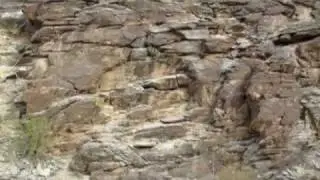 Holbert Trail at South Mountain - Annual Christmas Hike