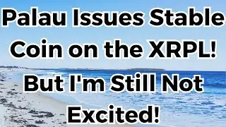 Palau Stable Coin Issued on the XRPL! | 24 Billion Palau Stable Coin Was Not Moved In a Transaction!