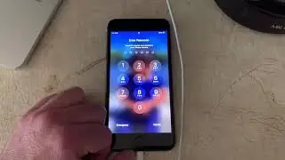 iPhone 8plus screen blackout after screen repair | Chestnut & Backlight Driver IC Repair