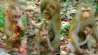 Best action of Lila mum all,.ows newborn Lilo ge,.t out go walking with friends.