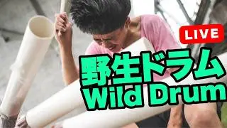 Wild Drum Live from Tokyo Japan 2026.8.25 #shorts