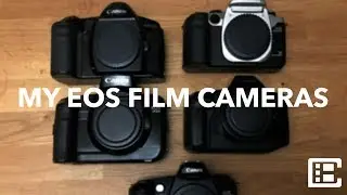 Мои пленочные фотоаппараты EOS