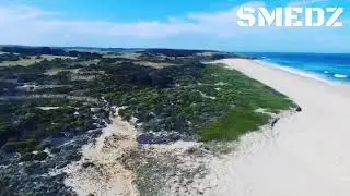 South Coast beach, whale carcass fly over