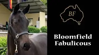 Bloomfield Fabulicious