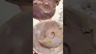 China&rsquo;s Dazzling Stone Market 🌟