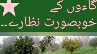 Pyara pind ...  Simple people..District Bhakkar.