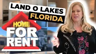 Land O Lakes Florida Home for Rent - 55 and up!