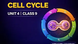 Biology Class 9 Unit 4 Cell Cycle | Short Revision