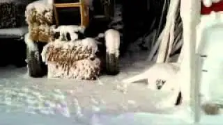 Sarnia/Lambton snow storm 2010