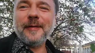 Czy orzech czarny jest jadalny?