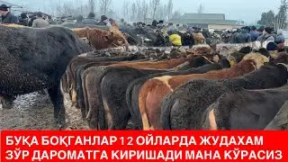 БАЙ БАЙ БАЙ БУҚА БОЗОРДАХАМ ХАЗИЛКАШЛАР КЎПАЙИБДИ БОЗОР ДАХШАД БЎЛДИ КЎРИНГ. 