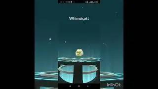 Evolving Cottonee into Whimsicott in Pokemon Go