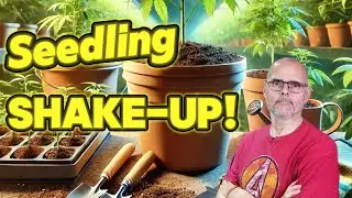 Seedling Switch-Up: Here&rsquo;s What I Chose Instead #marshydro #ts1000 #fce3000 #vg80