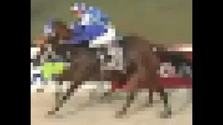 horse racing extended