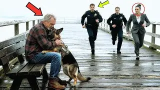 &ldquo;The police ordered a K9 dog to attack an elderly veteran, but the K9 dog&rsquo;s reaction&hellip;&rdquo;