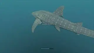 Stranded Deep - Whale Shark Encounter