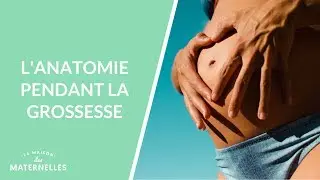 L'anatomie pendant la grossesse - La Maison des maternelles #LMDM
