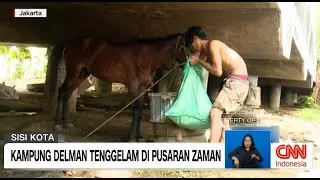 Kandang Delman di Kolong Tol Dalam Kota | Sisi Kota