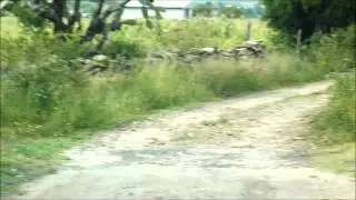 CUMPLE NASH 1RA PARTE .wmv