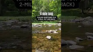 one of the best trails in Bucks County, PA #hiking #pennsylvania #buckscountypa