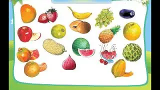 (8) Fruits