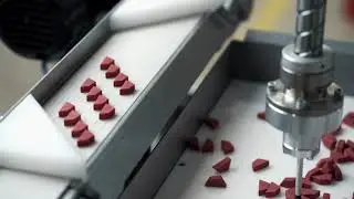 RNA FlexType R in Verbindung mit einem Denso HR-Roboter