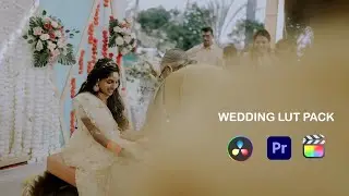 LUTs for Indian Wedding & Pre-Weddings | Cinematic LUTs | Color Grading |Learn 2 Pro