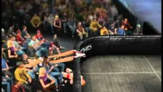 WWE '12 - Awful glitch