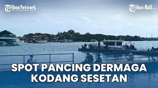 WISATA BALI | Spot Pancing Dermaga Kodang Sesetan: Surga Wisata Bagi Para Pemancing di Denpasar