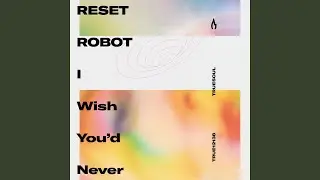 I Wish You'd Never (Radio Edit)