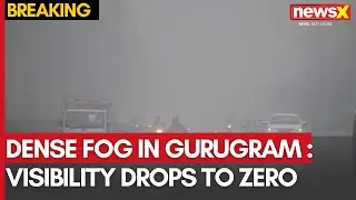 Dense Fog Engulfs Gurugram | Visibility Drops to Zero | Ground Report | NewsX