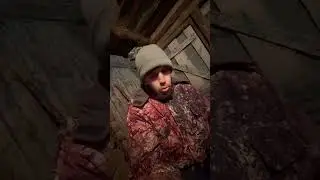 И с этим справились