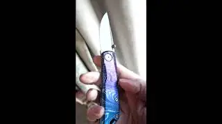 Real steel Luna Ti 