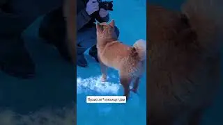 Эксклюзивно для ценителей