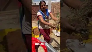 Creativity 👩&zwj;🌾🥹 || Family Fun Gardening #Shorts
