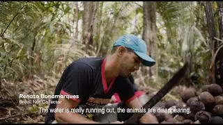 Priceless Planet Coalition: Spotlight on our restoration work in Brazil
