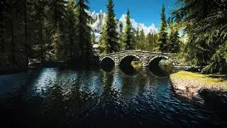 Skyrim ambience with water flowing and birds singing