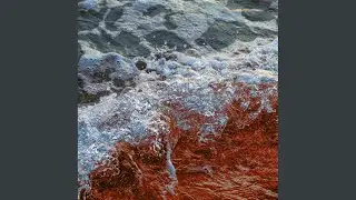 In Order To Dance (Original Mix)