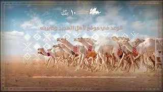 سفن الصحاري | ‏الشيلة الرسمية لسباقات الهجيج في #مهرجان_الملك_عبدالعزيز_للإبل10 🐪