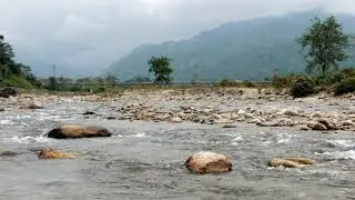 Lal Jhamela Basti | Dooars