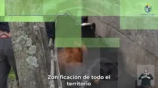 Plan Nacional de Lucha contra la Garrapata del Ganado Bovino