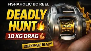 Fishaholic Deadly Hunt BC Reel 🎣🔥Smooth drag, powerful control aur premium feel #fishing #fish #love