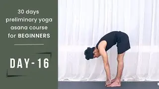 30 days preliminary yoga asana course for beginners | Body alignment and posture | DAY - 16 | YUJX
