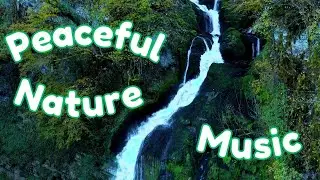 Natures Calm Music  Nature Visuals - 1 | Nature | Music | Peaceful Music | Best for Brain | Mindful