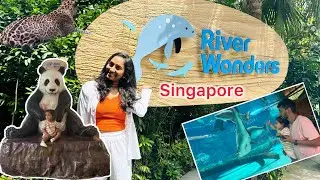 ಇದಕ್ಕೆ ಇಷ್ಟ್ height ಅಂತ ಇರ್ಬೇಕು ಇಲ್ಲ ಅಂದ್ರೆ ಬಿಡೋಲ್ಲ River wonders Singapore | 🐼 panda gaint fish